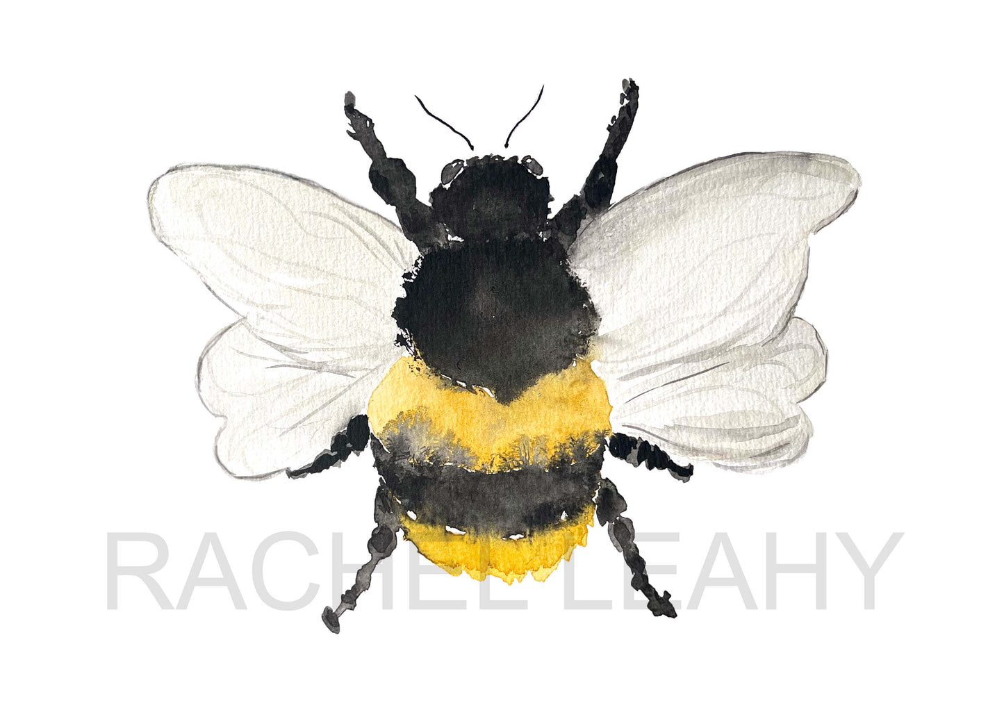 Bee watercolor painting - Bumble Bee Art Print. Nature Illustration. Honey Bee, Flying bee, Lovely Bee art